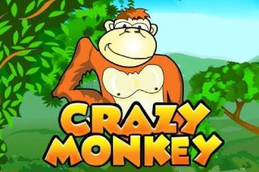 Crazy monkey